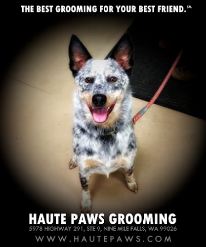 Haute Paws Grooming