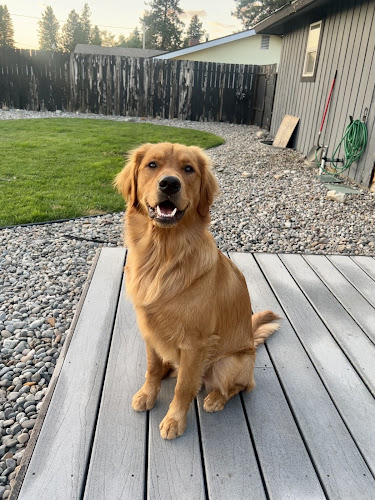 Bark Park Doggy Daycare & Grooming