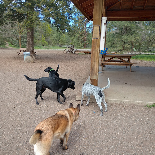 High Bridge Dog Park