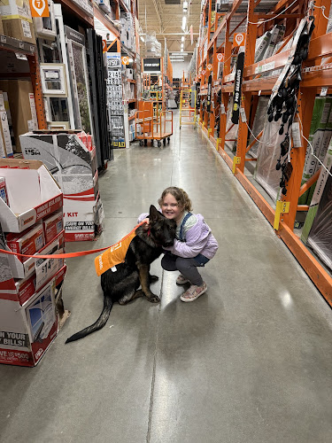 Paws For Love school for dogs