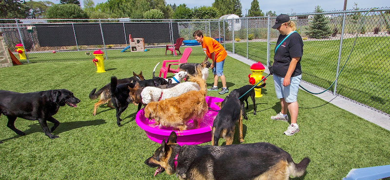 K9 Country Club Pet Center