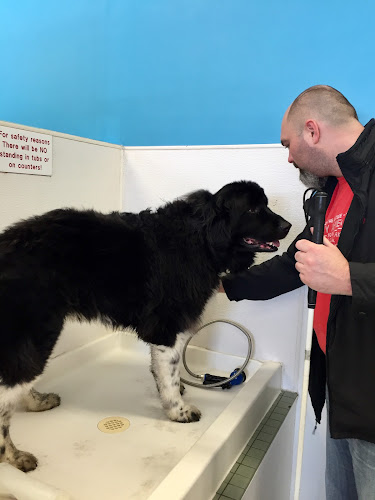 Julia’s Jungle Dog & Cat Board