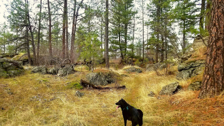 Dishman Hills Natural Area