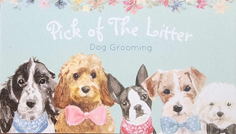 Pick of The Litter Dog Grooming