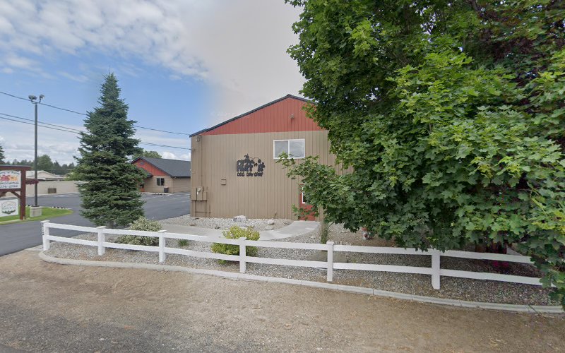 Ruff ‘n It Dog Day Camp & Cattery