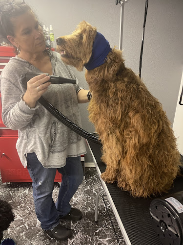 Pawsitive Vibes Grooming