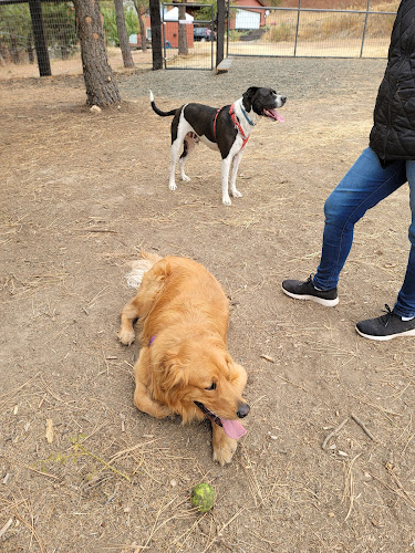 Dawn to Dusk Doggy Domain Private Dog Park- By Reservation Only