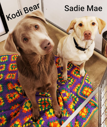 TLC Pet Boarding LLC