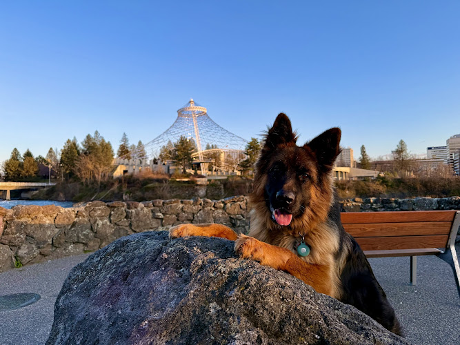 Canine Community Center