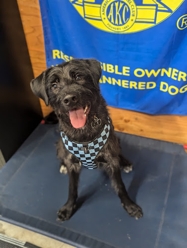Adventure Canine Academy