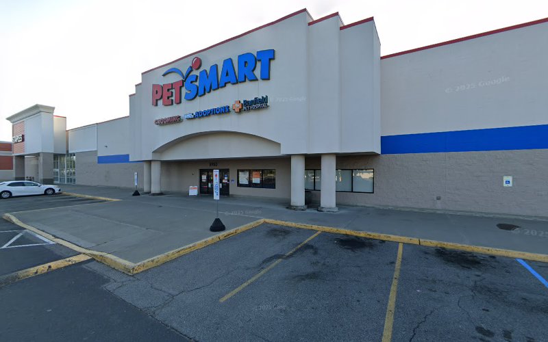 PetSmart Dog Training