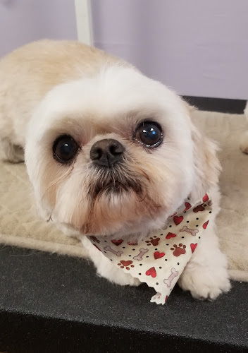 Hopesong’s Grooming Room